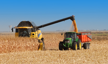 Landwirtschaft Öle und Fette